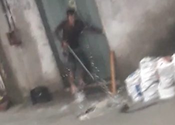 Vídeo: cobra nada em direção à residência e acaba morta a pauladas em Manaus