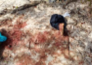 Homem é levado por Tribunal do Crime e moradores encontram apenas o pé; veja