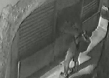 Vídeo: ladrão arreia as calças no Centro de Manaus para “proteger” comparsas durante furto