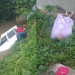 Vídeo: Supostamente bêbado, homem cai com carro e mulher em igarapé de Manaus