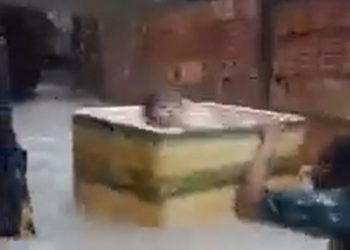 Vídeo: moradores da ZL de Manaus salvam criança em caixa de isopor durante a chuva