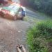 Imagens fortes: mulher morre baleada de shortinho e salto alto em Manaus