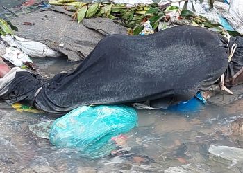 Cenas fortes: chuva arrasta corpo em decomposição até igarapé do Jorge Teixeira