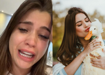 Bandidos invadem casa de blogueira e furtam pato de estimação