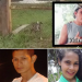 Baleado no Jorge Teixeira, jovem morre no Platão Araújo