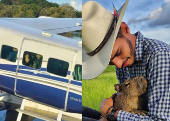 Agenor entrega Filó para o Ibama: “É pelo bem dela… o seu verdadeiro habitat natural é o meu coração”