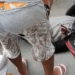 Tentando fugir de assalto, motociclista app leva tiros de bandidos