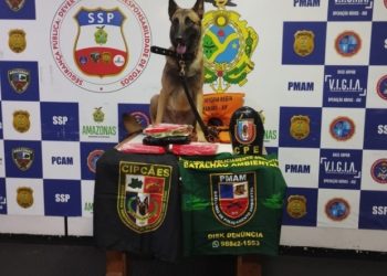 Traficantes escondem mais de R$ 300 mil em drogas dentro de salva-vidas nos rios do Amazonas