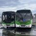 Vídeo: ônibus do transporte público pegam fogo em Manaus