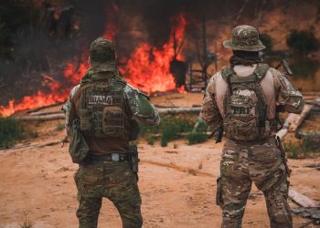 Concurso do Ibama oferece vagas para brigadistas no AM com salário de até R$ 5,2 mil