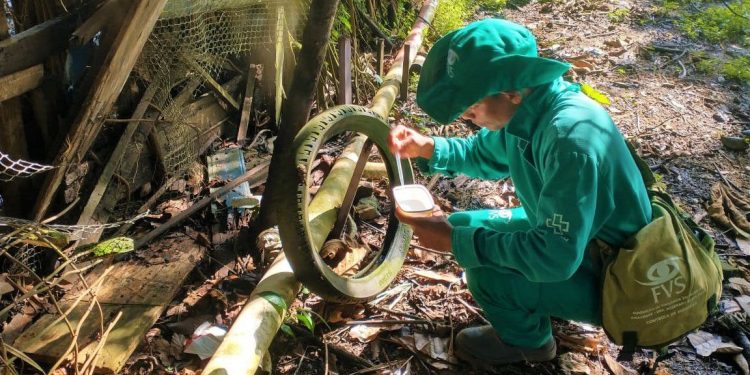 No Amazonas, 6.223 casos de dengue e cinco mortes pela doença são confirmadas pela FVS-RCP