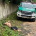 Com as calças arriadas, cadáver é encontrado no Santa Etelvina