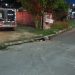 Adolescente é executado com 8 tiros e 4 facadas no Mutirão; veja imagens