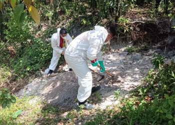 Baleado no Jorge Teixeira, jovem morre no Platão Araújo