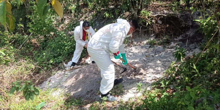 Baleado no Jorge Teixeira, jovem morre no Platão Araújo