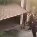Vídeo: após engravidar enteada, homem tenta invadir a residência dela e vai preso em Manaus