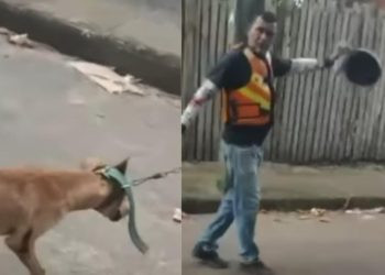 Vídeo: mototaxista arrasta cachorro pelas ruas de Manacapuru
