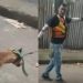 Vídeo: mototaxista arrasta cachorro pelas ruas de Manacapuru