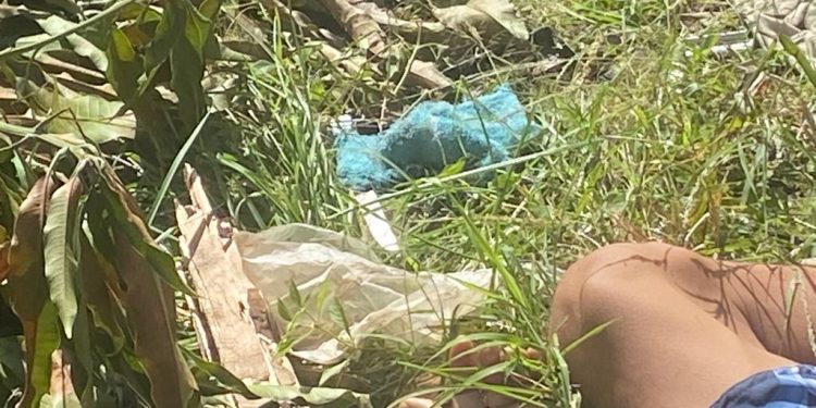 Com facadas pelo corpo, ‘Loirinho’ é encontrado em terreno baldio na ZL de Manaus