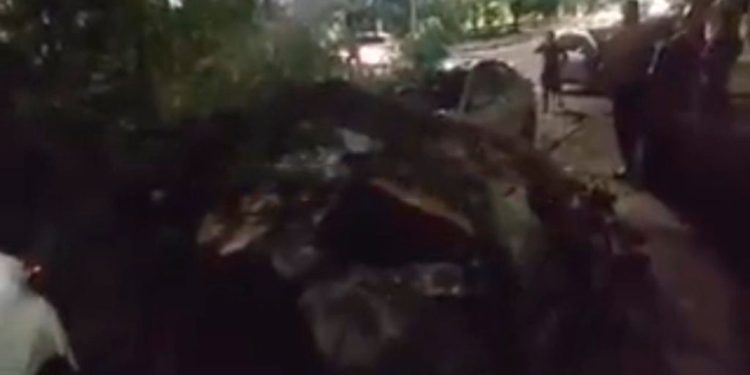 Árvore até o tucupi de cupim tomba em rua e quase atinge carros no Eldorado; vídeo
