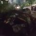 Árvore até o tucupi de cupim tomba em rua e quase atinge carros no Eldorado; vídeo