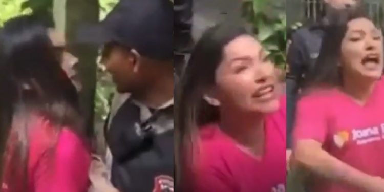 Vídeo: internautas criticam Joana Darc após escândalo no Ibama: ‘toda capivara devia votar nela’