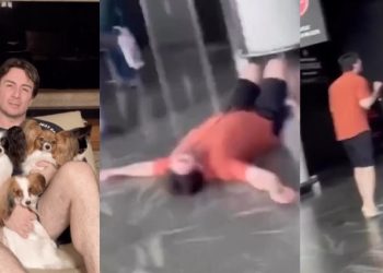 Vídeo de brasileiro desesperado após perder os cães no aeroporto viraliza nas redes; assista
