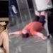 Vídeo de brasileiro desesperado após perder os cães no aeroporto viraliza nas redes; assista