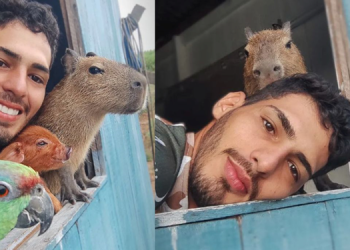 Amazonense que viralizou por relação de amor com capivara toma multa do Ibama