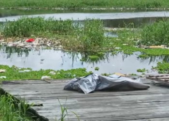 Em decomposição, cadáver de homem é encontrado em igarapé da zona Sul