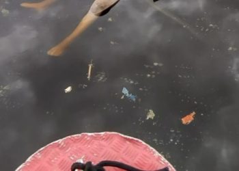 Cena de horror: morto surge boiando em igarapé de Manaus