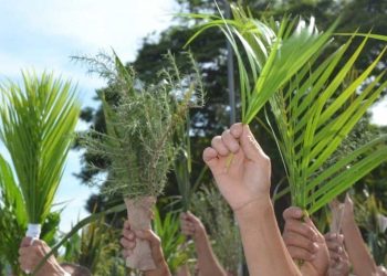Domingo de Ramos: confira a programação da Semana Santa em Manaus
