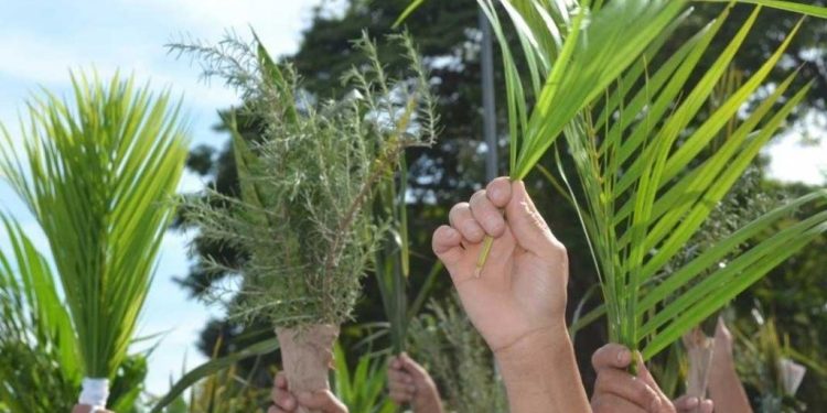 Domingo de Ramos: confira a programação da Semana Santa em Manaus