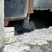 No Coroado, ‘Haitiano’ é executado a tiros na porta de casa ao chegar do trabalho