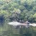 Bola, Macarrão e Romário são presos por assaltar turistas em Iranduba e Manacapuru
