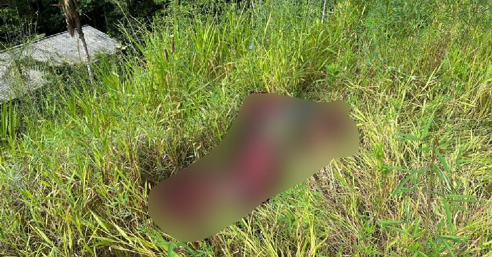 Homem é encontrado morto enrolado em rede e com corda no pescoço em Manaus