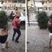 Maníaco que se filmou estuprando cachorro é procurado em Manaus