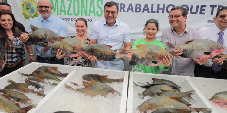 Wilson Lima anuncia doação de pescado e feirão do peixe na Semana Santa