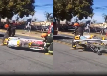 Jacaré é flagrado na Ponta Negra; animal estava machucado