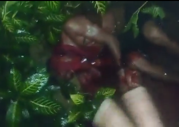 Antes de enterrar em cova rasa, bandidos gravam vídeo da vítima agonizando; imagens fortes