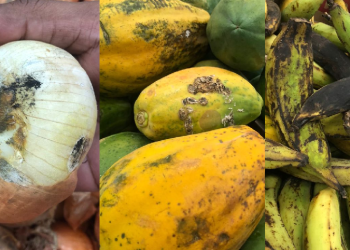 Consumidores registram alimentos podres e estragando no DB da Ponta Negra; veja