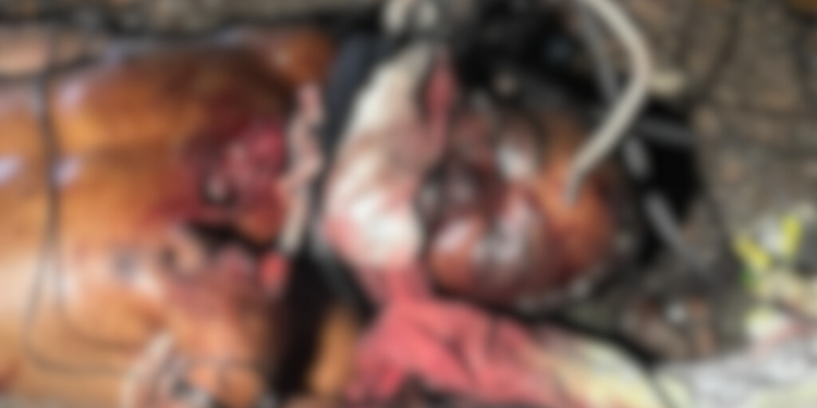 Cadáver encontrado em mata teve coração arrancado e levado, diz perícia