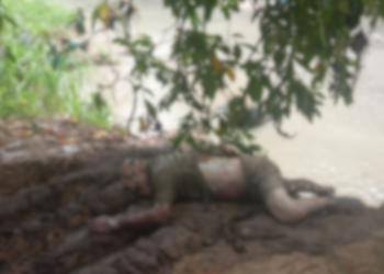 Depois de desaparecer durante tiroteio, homem é encontrado morto em igarapé