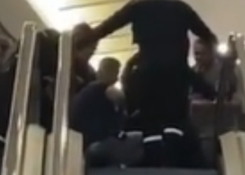 Cachorro fica com a pata presa em escada rolante de shopping de Manaus