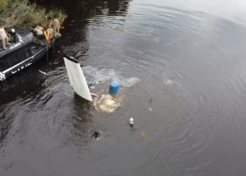 Aeronave que caiu no Rio Negro estava entupida de drogas, afirma PC