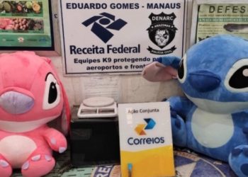 Ursinhos fofinhos cheios de cocaína são encontrados no aeroporto Eduardo Gomes