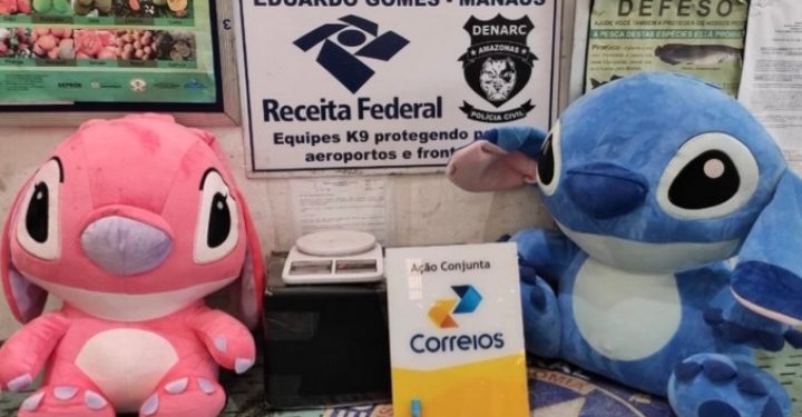 Ursinhos fofinhos cheios de cocaína são encontrados no aeroporto Eduardo Gomes
