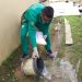 Amazonas tem  8.560 casos de dengue confirmados em 2023