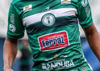 Motorista de kombi para em faixa para pedestre passar e é atingido por caminhonete