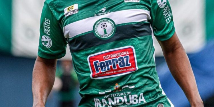 Motorista de kombi para em faixa para pedestre passar e é atingido por caminhonete